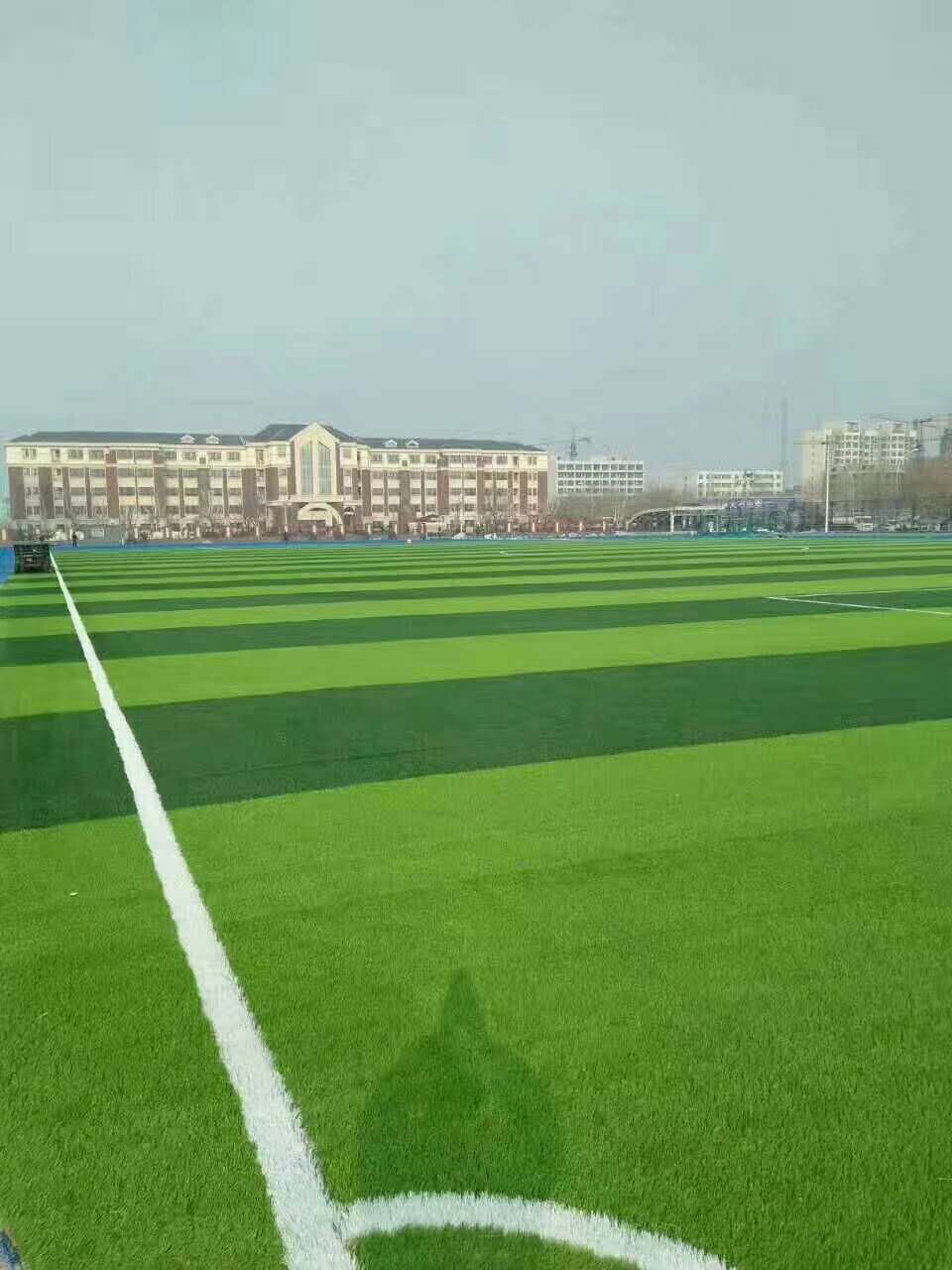 泸州市幼儿园塑胶跑道仿真草坪 - 排名